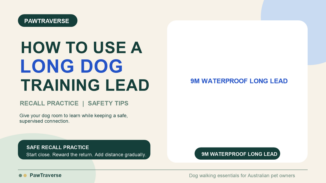How to Use a Long Dog Training Lead for Recall Practice Safely