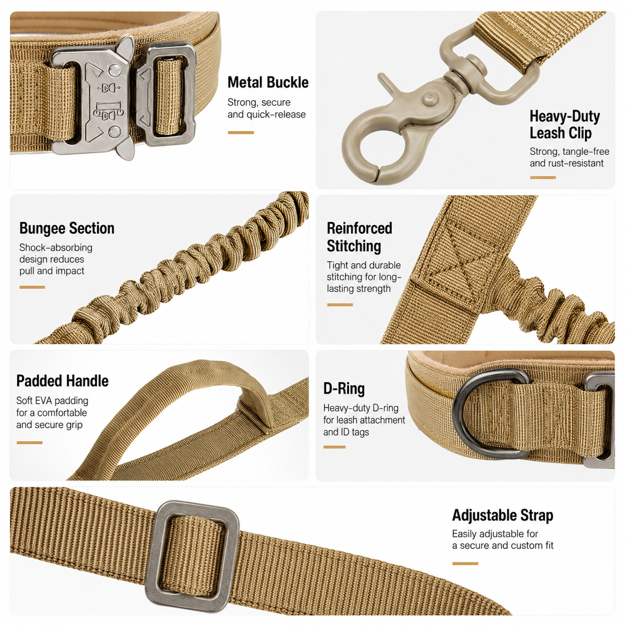 Padded Dog Collar & Bungee Leash Set
