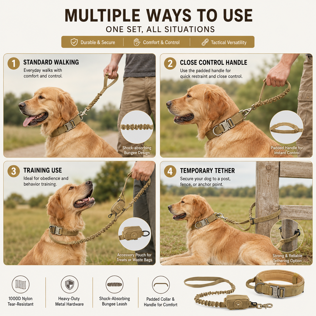 Padded Dog Collar & Bungee Leash Set