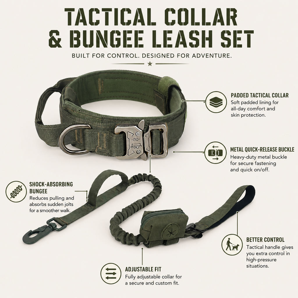Padded Dog Collar & Bungee Leash Set