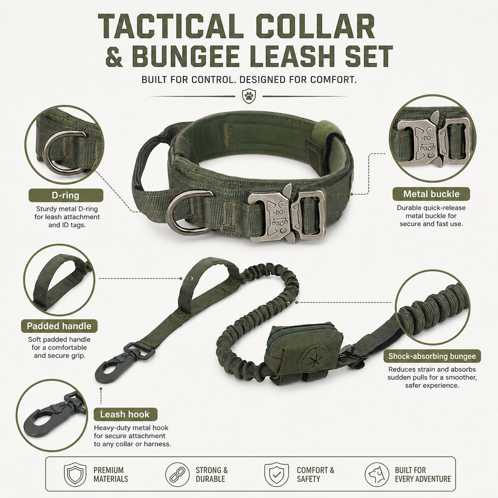 Padded Dog Collar & Bungee Leash Set