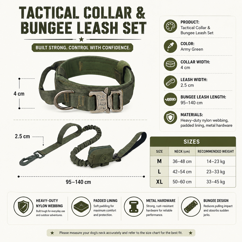 Padded Dog Collar & Bungee Leash Set