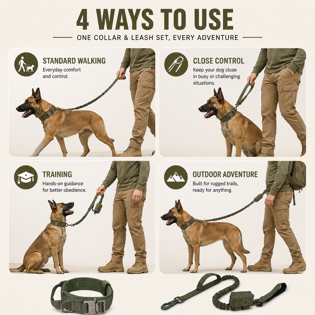Padded Dog Collar & Bungee Leash Set